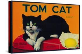 Tom Cat Lemon Label - Orosi, CA-Lantern Press-Stretched Canvas