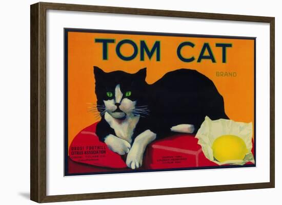 Tom Cat Lemon Label - Orosi, CA-Lantern Press-Framed Art Print