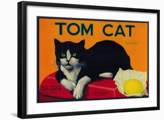 Tom Cat Lemon Label - Orosi, CA-Lantern Press-Framed Art Print