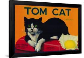 Tom Cat Lemon Label - Orosi, CA-Lantern Press-Framed Art Print