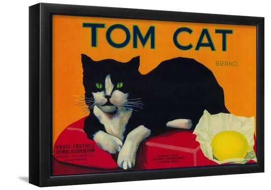Poster, , large