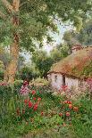 A Cottage Garden-Tom Clough-Framed Stretched Canvas