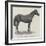 Tom Cringle, Winner of the Ascot Stakes-null-Framed Giclee Print