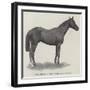 Tom Cringle, Winner of the Ascot Stakes-null-Framed Giclee Print