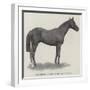 Tom Cringle, Winner of the Ascot Stakes-null-Framed Giclee Print