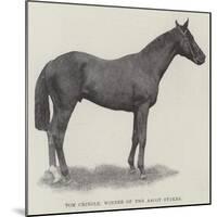 Tom Cringle, Winner of the Ascot Stakes-null-Mounted Giclee Print