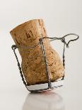 Champagne Cork-Tom Grill-Photographic Print