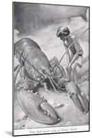 Tom Had Never Seen a Lobster Before-Arthur A. Dixon-Mounted Giclee Print