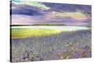Stretched Canvas