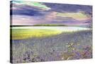 Stretched Canvas