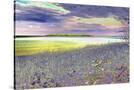 Stretched Canvas