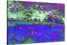 Stretched Canvas