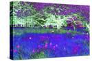 Stretched Canvas