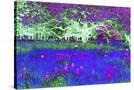 Stretched Canvas