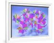 Gramercy White