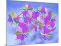 Wood Mount