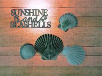 Sunshine Shells-Tom Kelly-Giclee Print