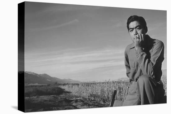 Tom Kobayashi, Landscape-Ansel Adams-Stretched Canvas