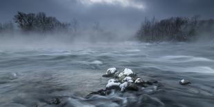 Frosty morning at the river-Tom Meier-Photographic Print