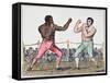 Tom Molineaux Versus Tom Cribb, 28th September, 1811 at Thistleton, England (Colour Litho)-English-Framed Stretched Canvas