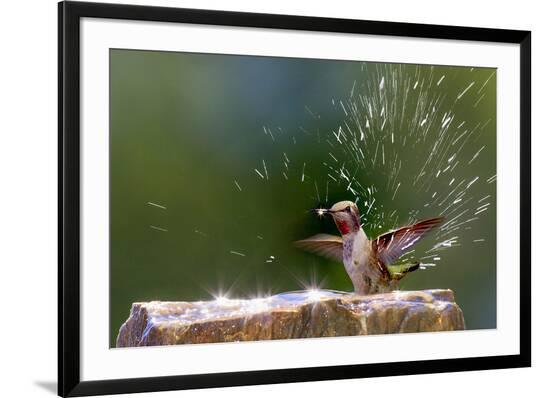 Framed Photographic Print, , large