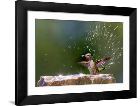 Framed Photographic Print, , large