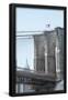 Essential Black