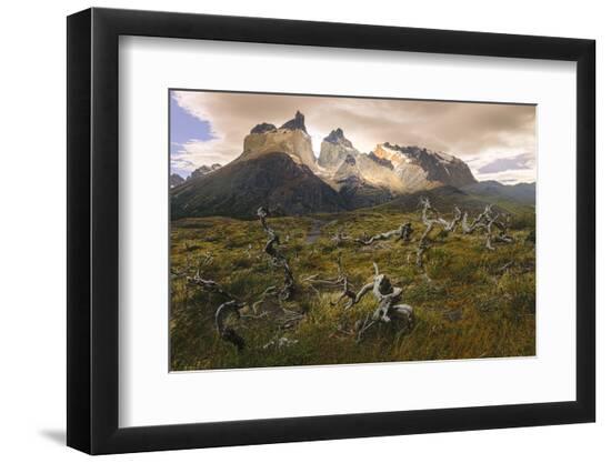 Premium Photographic Print, , large