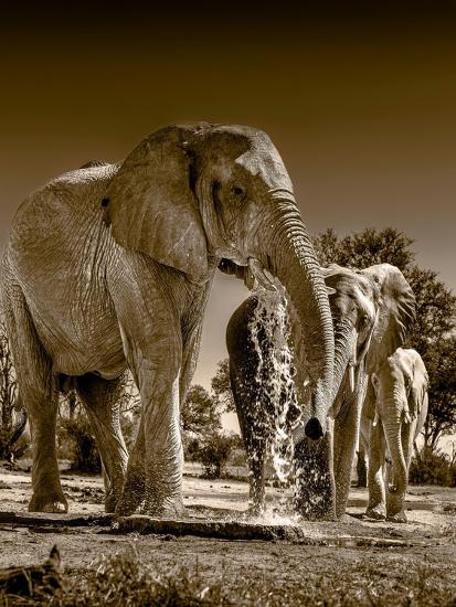 Photographic Print, , large