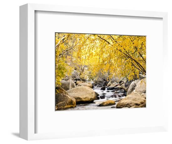 Framed Photographic Print, , large