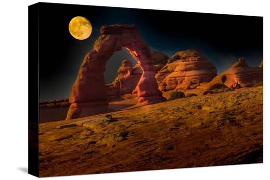 Stretched Canvas Print, , large