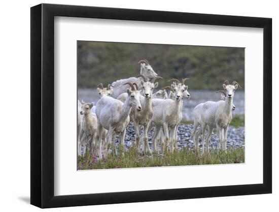 Premium Photographic Print, , large