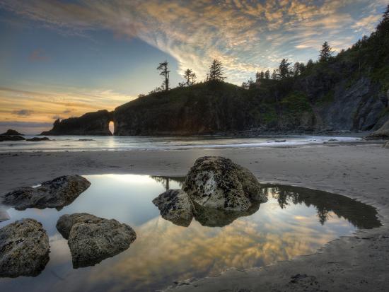 Premium Photographic Print, , large