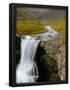 Essential Black