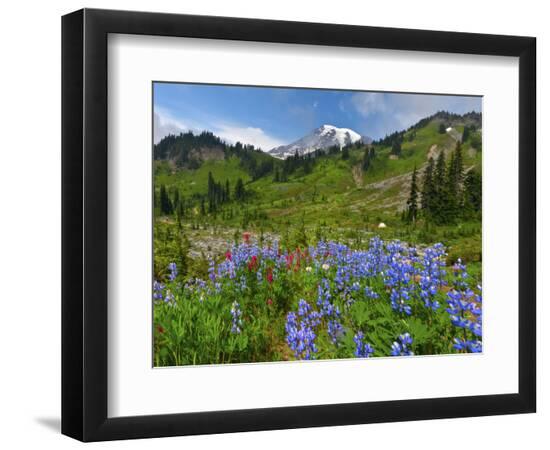 Photographic Print, , large