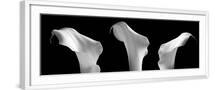 White Frame