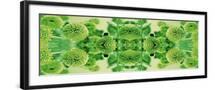 Black Frame