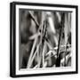 Black Frame