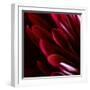 White Frame