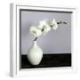 White Frame