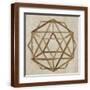 Brown Frame