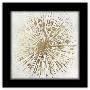 Gallery Pops Black Frame