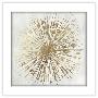 Gallery Pops White Frame