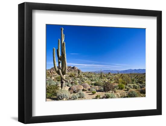 Premium Photographic Print, , large