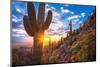 Tom's Thumb Trail Leads through Beautiful Sonoran Desert Mountain Landscape towards an Awesome Suns-Eric Mischke-Mounted Photographic Print