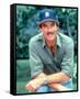 Tom Selleck, Magnum, P.I. (1980)-null-Framed Stretched Canvas