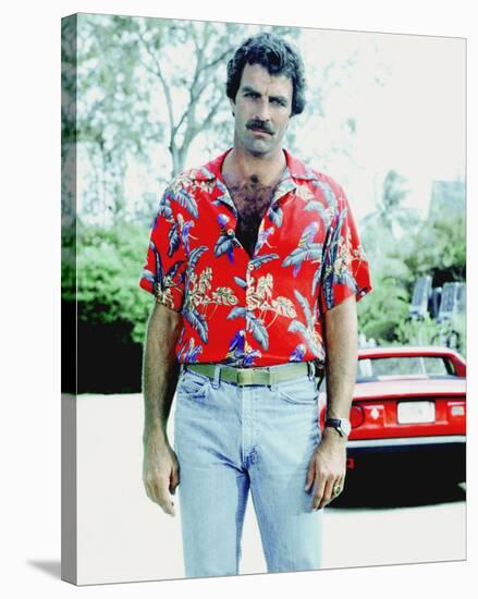 Tom Selleck-null-Stretched Canvas