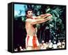 Tom Selleck-null-Framed Stretched Canvas