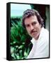 Tom Selleck-null-Framed Stretched Canvas