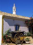 Farmhouse with Cart and Chimney, Silves, Algarve, Portugal-Tom Teegan-Photographic Print